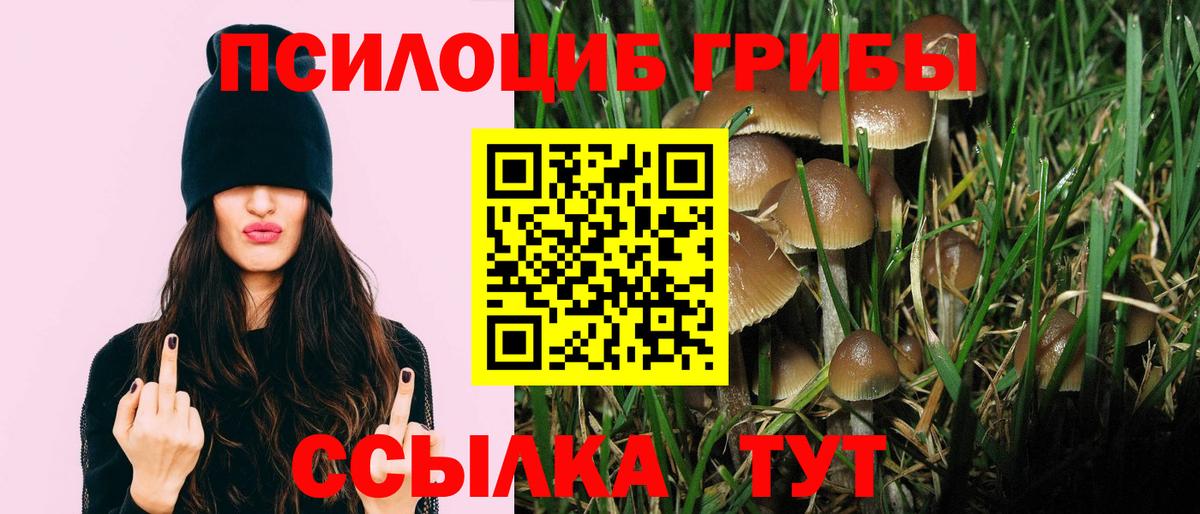 Псилоцибиновые грибы ЛСД  Вход с VPN  Псилоцибиновые грибы Psilocybe  Гуково 